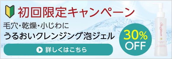 初回限定キャンペーン 毛穴・乾燥・小じわにうるおいクレンジング泡ジェル 30%OFF 詳細はこちら